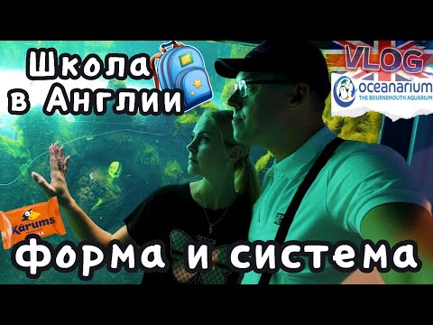 Видео: Школьная система в Англии🇬🇧Океанариум🦈 и польские вкусняшки | Наш день в UK|6.09.25