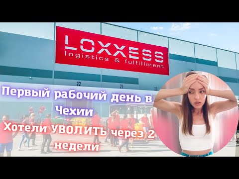 Видео: Работа на ЛОКСЕСЕ по трехмесячной визе.🇨🇿