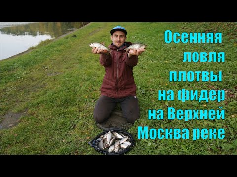 Видео: Осенняя ловля плотвы на фидер на Верхней Москва реке