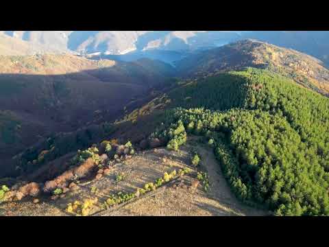 Видео: 🌄Родопска хармония от високо: Въча, гори и каменни стражи✨