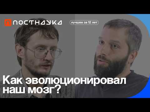 Видео: Как эволюционировал наш мозг? — коллекция на ПостНауке