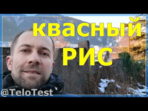 Видео: 586 Квашение зерна Рис ферментированный