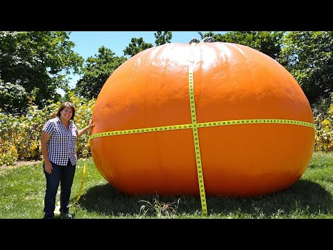Видео: Невероятные гигантские овощи, которые нужно увидеть, чтобы поверить!