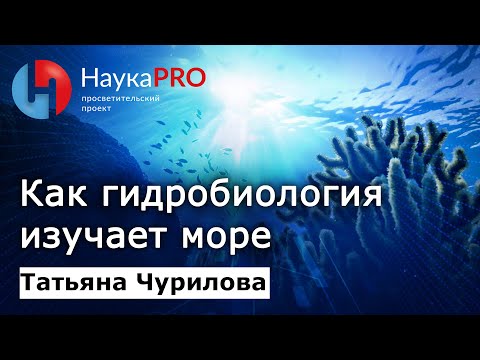 Видео: Как и зачем гидробиология изучает море? – Татьяна Чурилова | Лекции по биологии | Научпоп