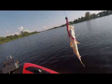 Видео: ЛОВЛЯ СУДАКА на ДЖИГ в реке ПЯРНУ