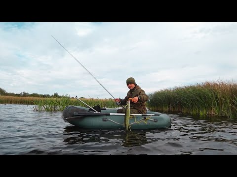 Видео: ЛОВЛЯ ЩУКИ НА ТВІЧИНГ І ДЖИГ! ОСІННЯ РИБОЛОВЛЯ на СПІНІНГ 2024!