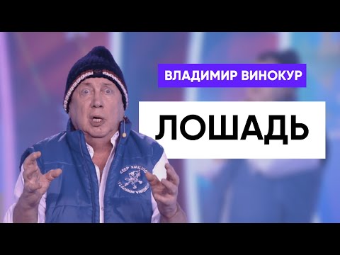 Видео: Владимир Винокур - Лошадь