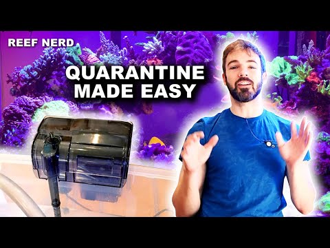 Видео: Карантин стал проще — больше никаких оправданий!