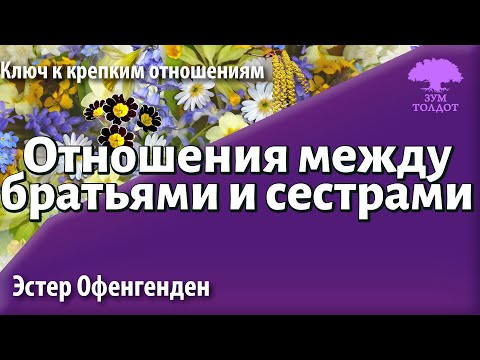 Видео: Zoom-уроки Толдот.ру