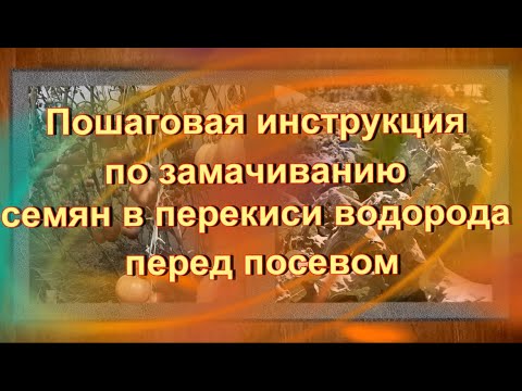 Видео: Пошаговая инструкция по замачиванию семян в перекиси водорода перед посевом