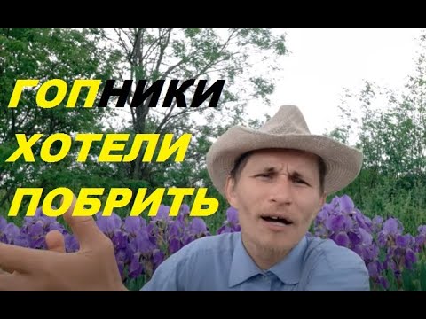 Видео: Зачем нужна борода и стоит ли брить бороду.