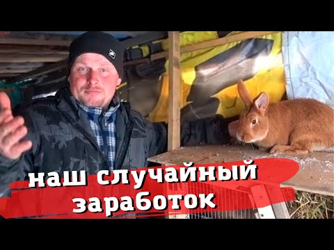 Видео: Сколько нам удалось заработать на кроликах за один год. Почему мы удалили наш ролик. Жизнь в деревне