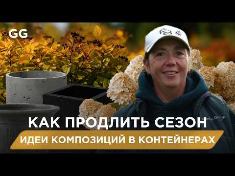 Видео: Не убирайте контейнеры на зиму! Что посадить в горшки осенью для красоты сада