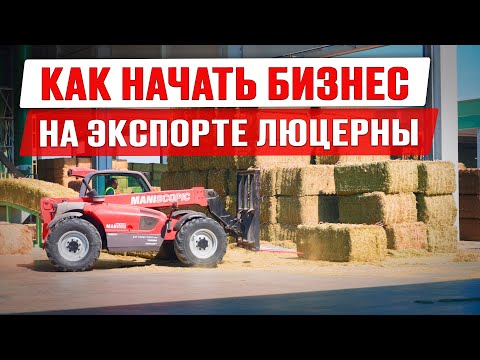 Видео: Сено люцерны как бизнес | Технология производства сушеной люцерны | Экспорт люцерны | Бизнес идея