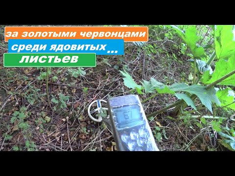 Видео: ПОИСК ЗОЛОТЫХ ЧЕРВОНЦЕВ с МЕТАЛЛОДЕТЕКТОРОМ В ЗАБРОШЕННОМ, ДРЕВНЕМ ПОСЕЛЕНИИ!
