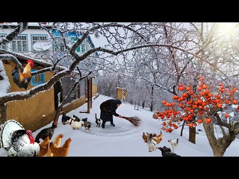 Видео: В Горном Деревне Азербайджана Идет Снег.  @Kənd Dadı | A Taste of the Village