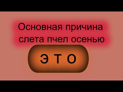 Видео: Основная причина осеннего слета пчел