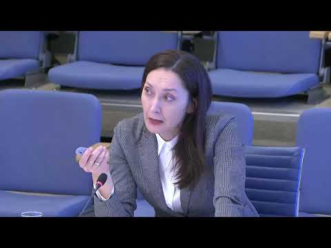 Видео: Доклад к.ю.н. А.В. Швабауэр по теме цифровой трансформации образования