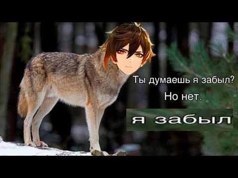 Видео: Тик Ток Genshin Impact / Tik Tok Genshin Impact №8 / Мемы Геншин Импакт