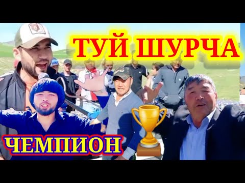 Видео: ТУЙ  ШУРЧА ЧЕМПИОНЛАР 2023