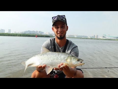 Видео: Большой обзор CF Arion ASR702ULS. Золотые окуни на р.Казанка и ТЕСТ на ЖЕРЕХЕ.