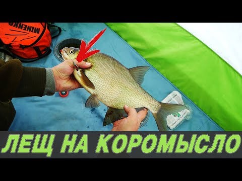 Видео: ПОИСК МЕСТА И ЛОВЛЯ ЛЕЩА НА КОРОМЫСЛО. Закрытие сезона зимней рыбалки.