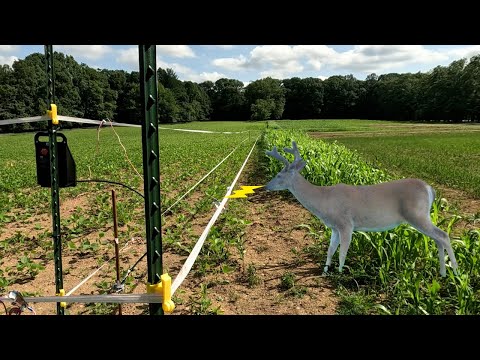 Видео: Как построить заграждение от оленей на кормовых участках ЛЕГКО!