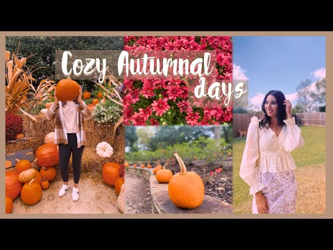 Видео: Осенний уютный день | Выходные в моей жизни | чтение, кулинария и рукоделие🍂|