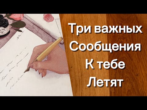 Видео: Срочно ‼️ ТРИ ВАЖНЫХ СООБЩЕНИЯ, КОТОРЫЕ ВЫ ПОЛУЧИТЕ В ТЕЧЕНИЕ 24 ЧАСОВ😲💌 