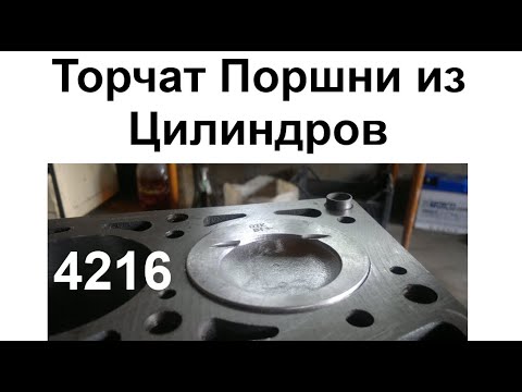 Видео: Торчат Поршни из Блока 4216 Газель Соболь