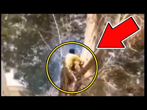 Видео: Его БЕНЗОПИЛА по ошибке вышла из-под контроля... И тут случилось ЭТО!