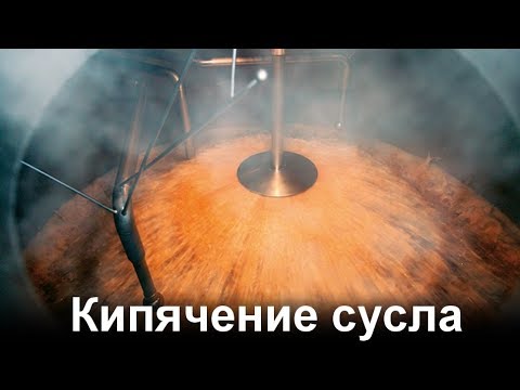 Видео: Кипячение сусла с хмелем
