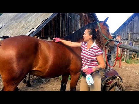 Видео: ЖИЗНЬ В ДЕРЕВНЕ С ЛОШАДЬМИ. ВЫТАЩИЛА ЭТУ ЛЕНТЯЙКУ НА ПРОГУЛКУ.  ПОКАЗАЛА КРАСОТУ НАШЕЙ МЕСТНОСТИ.