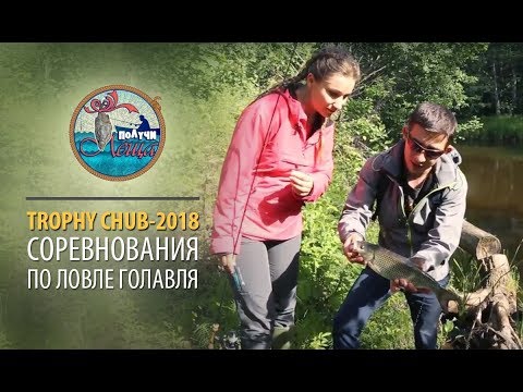 Видео: Соревнования по ловле голавля TROPHY CHUB-2018. Видео-обзор "Получи леща!"