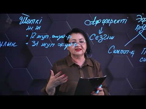 Видео: Орталық жүйке жүйесінің құрылысы. 10 сынып.