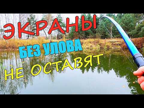 Видео: Рыбалка на ЭКРАНЫ. 2 дня ищу рыбу по ХОЛОДНОЙ воде.