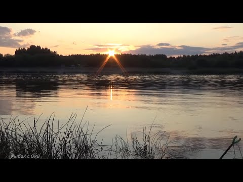 Видео: ВСЯ РЫБА ЗДЕСЬ НОЧЬЮ! Ночная рыбалка в проводку на удочку 2021!