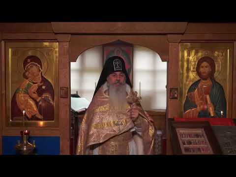 Видео: Кто направляет нашу цивилизацию.