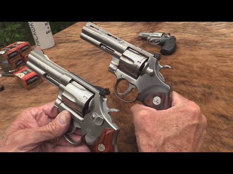 Видео: 2020 Python против S&W 686