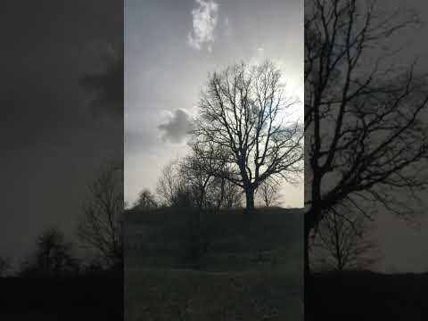 Видео: Видзы (слова Максим Ролик)