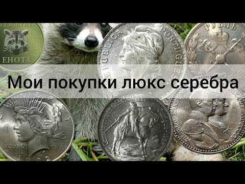 Видео: Мои покупки "люкс" монет. Серебро. Февраль 2023.