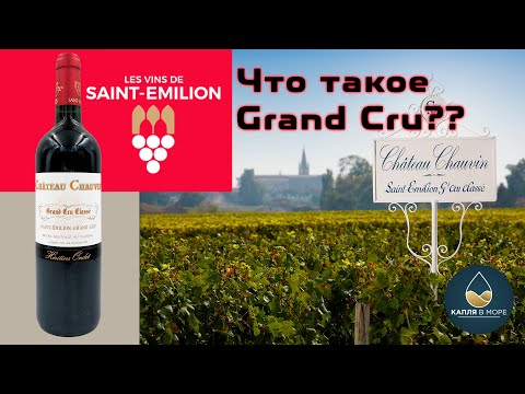 Видео: Разбираемся в классификации Бордо и пьем Chateau Chauvin