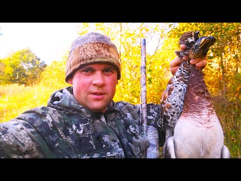 Видео: Долгий поход в поисках прекрасных трофеев.