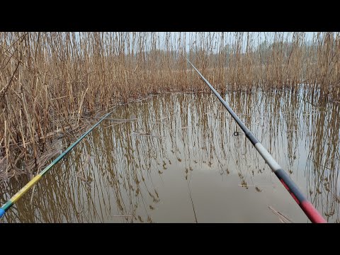 Видео: НЕ ТРЕБА БУЛО ТУДИ ЇХАТИ! Рибалка на новому місці