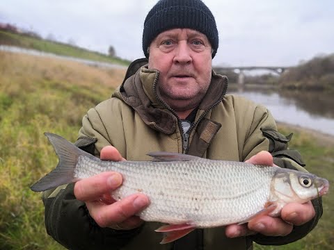 Видео: РЫБАЛКА НА ДНЕПРЕ ПОДУСТ ПЛОТВА! ПОЙМАЛИ БОЛЬШЕ ВСЕХ!  Набережная Смоленск Плотва Подуст