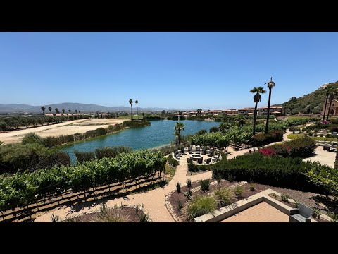 Видео: Винодельни долины Гваделупе (Valle de Guadalupe, Baja California) в Баха Калифорнии,  Мексика