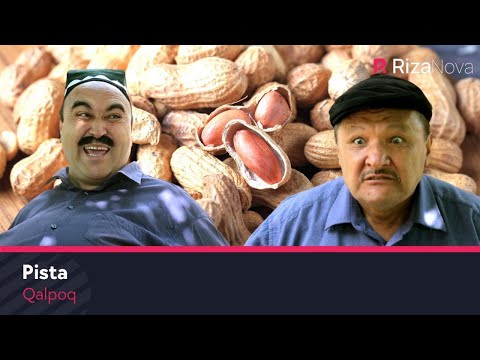 Видео: Qalpoq - Pista | Калпок - Писта (hajviy ko'rsatuv)