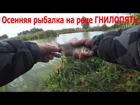 Видео: Осенняя рыбалка на реке Гнилопять.