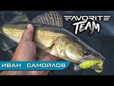 Видео: Судак на каждом забросе. Рыбалка на озере. Favorite Team.