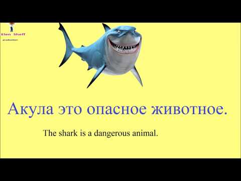 Видео: № 29  Учим русский : ЖИВОТНЫЕ : домашние и дикие